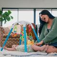 Load image into Gallery viewer, Activity Play Gym TEST - Nurture Smart